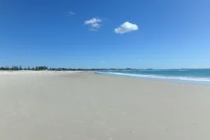 [野生のカンガルーがいる世界一のビーチを目指して！西オーストラリア・ロングドライブ旅行記2] タダで特典旅行の航空券をゲット！燃油サーチャージも無し！