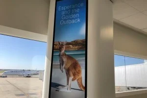 [野生のカンガルーがいる世界一のビーチを目指して！西オーストラリア・ロングドライブ旅行記29] 西オーストラリア・パースに到着！あ！？カンガルーだ！