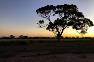 [野生のカンガルーがいる世界一のビーチを目指して！西オーストラリア・ロングドライブ旅行記48] え？何？チェックインできないの？