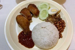 [ボイジャー・オブ・ザ・シーズで行く東南アジア・クルーズ旅行記35] マレーシアに来たら絶対食べたい「ナシレマッ」！