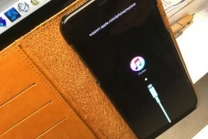 出発の準備中に思わぬハプニング！iPhoneXがまさかの文鎮化！？