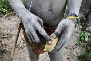 ベルベット生地のような肌触りのバオバブの実