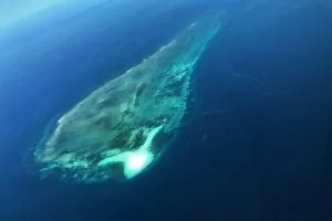 [北欧とアフリカを巡る年末年始の冒険旅行記：ザンジバルビーチ編2] 上空から見える意外なほどキレイな海。え？もうすぐザンジバル到着だって？