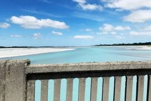 車の窓から流れてくるニュージーランドののどかな自然の風景。