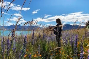 [年末年始のニュージーランド・テカポ湖に世界一の星空を見に行く旅行記42] 二度寝してたら晴れていたテカポ湖（笑）