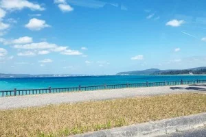 美しい沖縄の海を横目に見ながらオリオンハッピーパークに到着