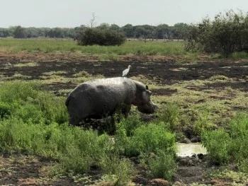 北欧とアフリカを巡る年末年始の冒険旅行記：準備編