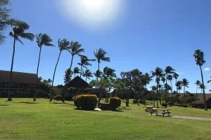 海外旅行先の天気・気候とおすすめのベストシーズン！