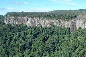 Springbrook national park