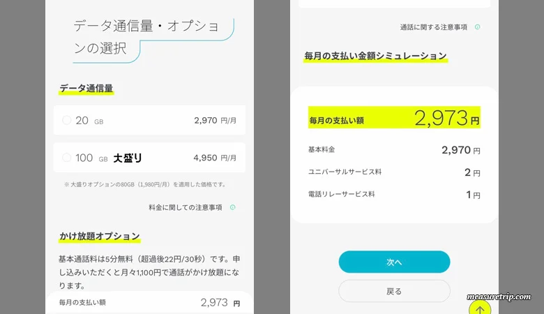 ahamoネット申し込み方法
