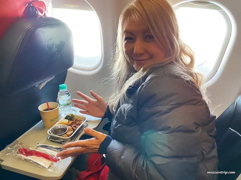 エアアジア機内食ガイド：おすすめメニューと持ち込みの注意点を徹底解説