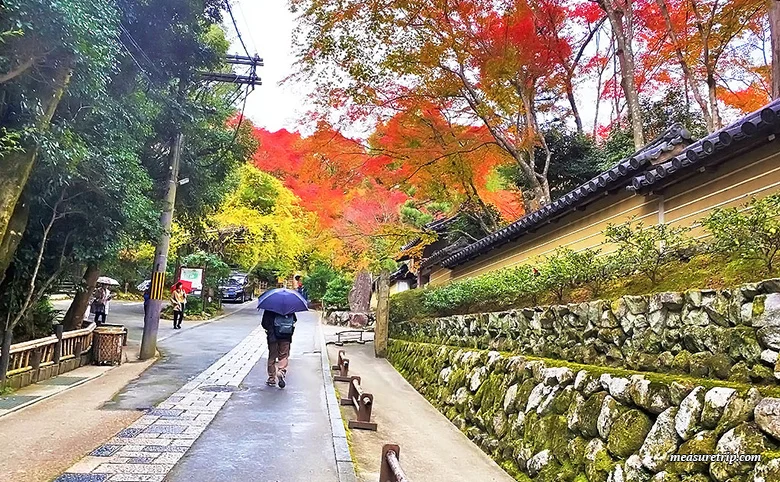 苔と紅葉が美しい「京都 祇王寺」に行く方法[もみじ苔寺]