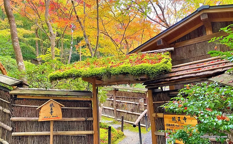 苔と紅葉が美しい「京都 祇王寺」に行く方法[もみじ苔寺]