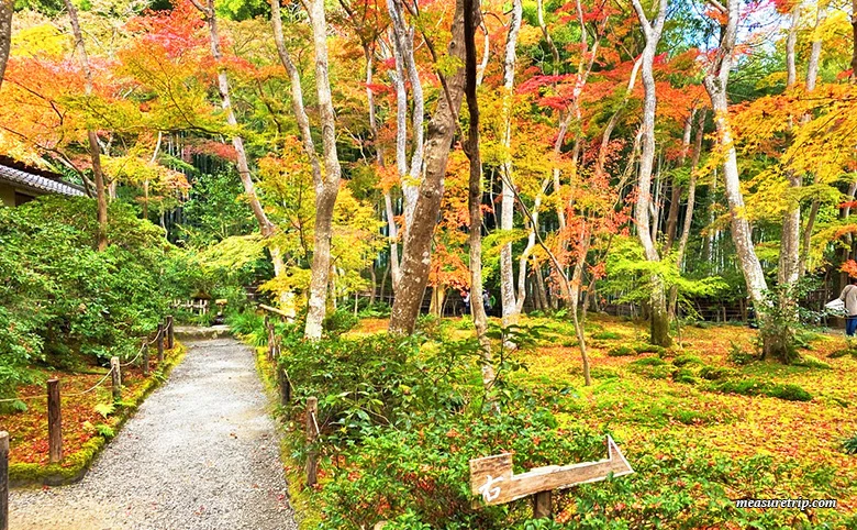 苔と紅葉が美しい「京都 祇王寺」に行く方法[もみじ苔寺]