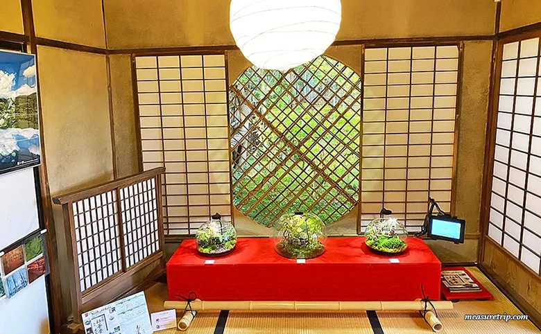苔と紅葉が美しい「京都 祇王寺」に行く方法[もみじ苔寺]