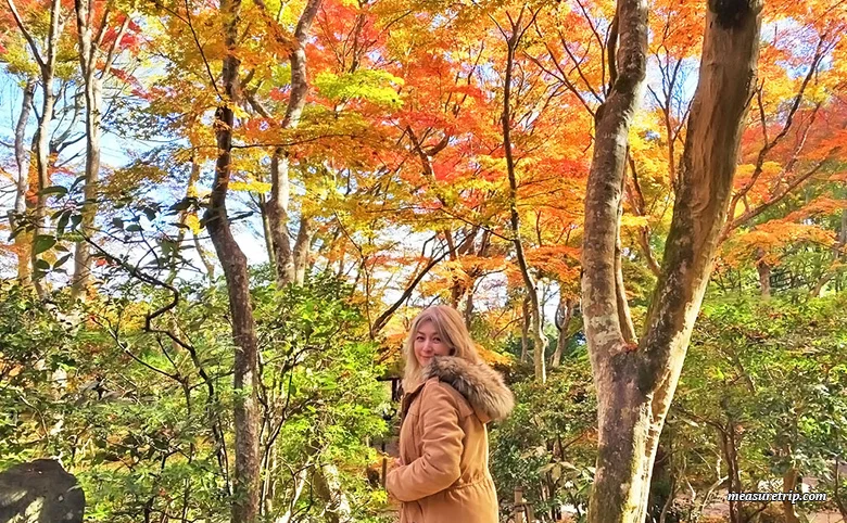 苔と紅葉が美しい「京都 祇王寺」に行く方法[もみじ苔寺]