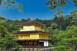 京都人がおすすめする京都観光