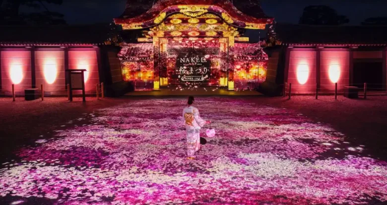 Kyoto Tourism Nijo Castle Cherry Blossom Festival 2024 Light-up Guide