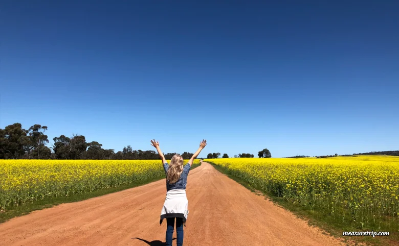 マリオット・ボンヴォイ・ポイント有効期限延長方法