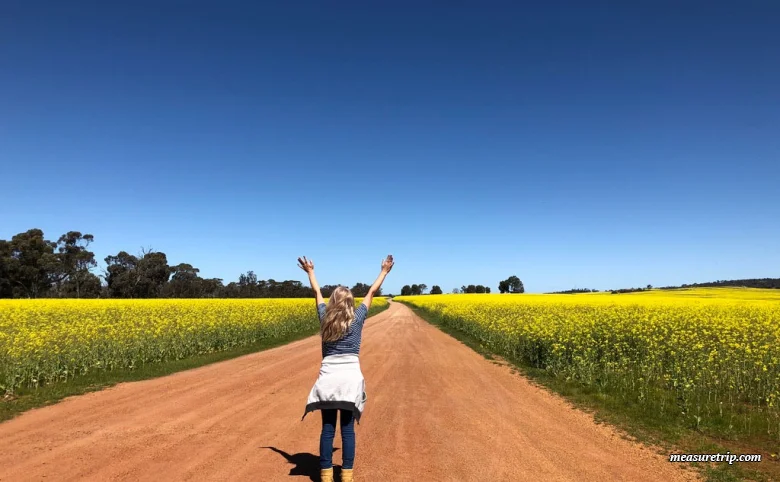 楽天モバイル・料金プランまとめ