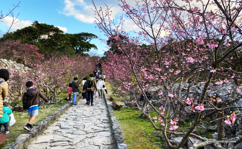 沖縄旅行の安い時期は？沖縄の年間天気 ガイド